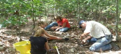 Crystal Digging